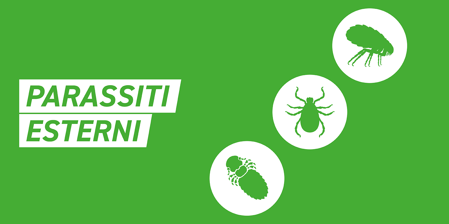 Prodotto B