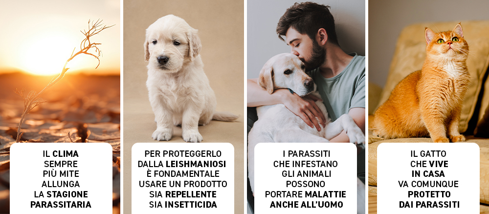 Banner Descrittivo